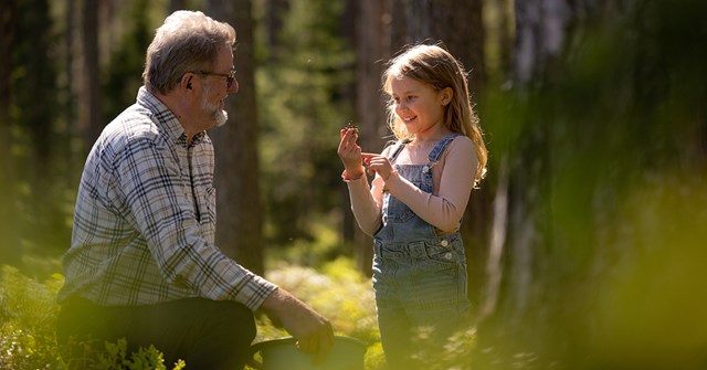 Isoisä ja lapsi ovat aurinkoisessa, kesäisessä metsässä. Tytöllä on kädessään käpy.