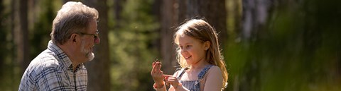 Grandfather and child are in a sunny, summer forest. The girl is holding a pine cone.