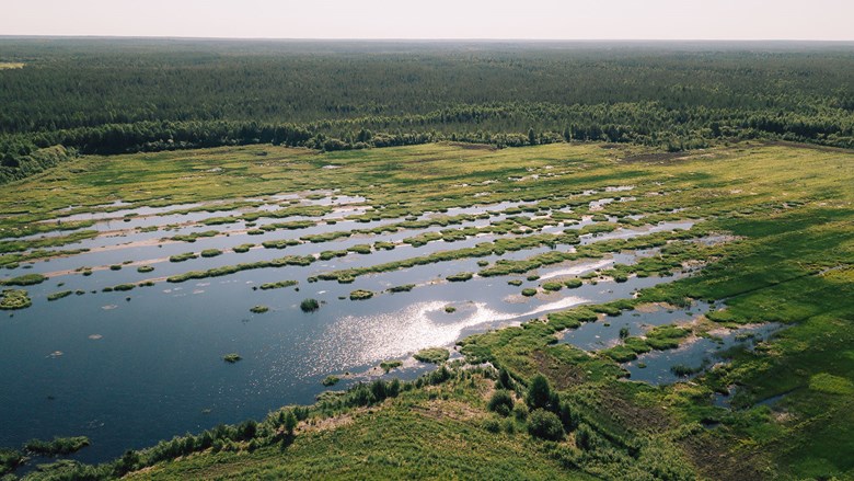 Suoalueiden jäkihoito - Oulun Energia