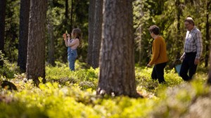 Hiilineutraali kaukolämpö Oulun Energia. Isovanhemmat ja heidän lapsenlapsensa metsässä aurinkoisena päivänä.
