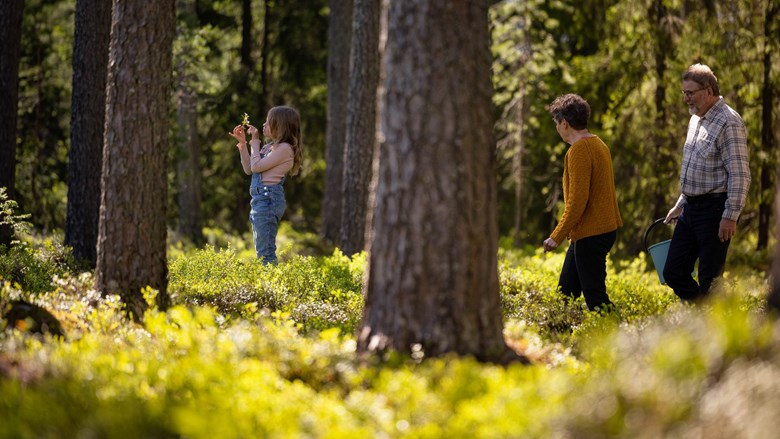 Carbon-neutral district heating Oulun Energia. Grandparents and their grandchildren in the forest on a sunny day.