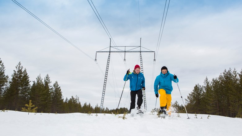 sähköverkko rakennetaan luonnon ehdoilla