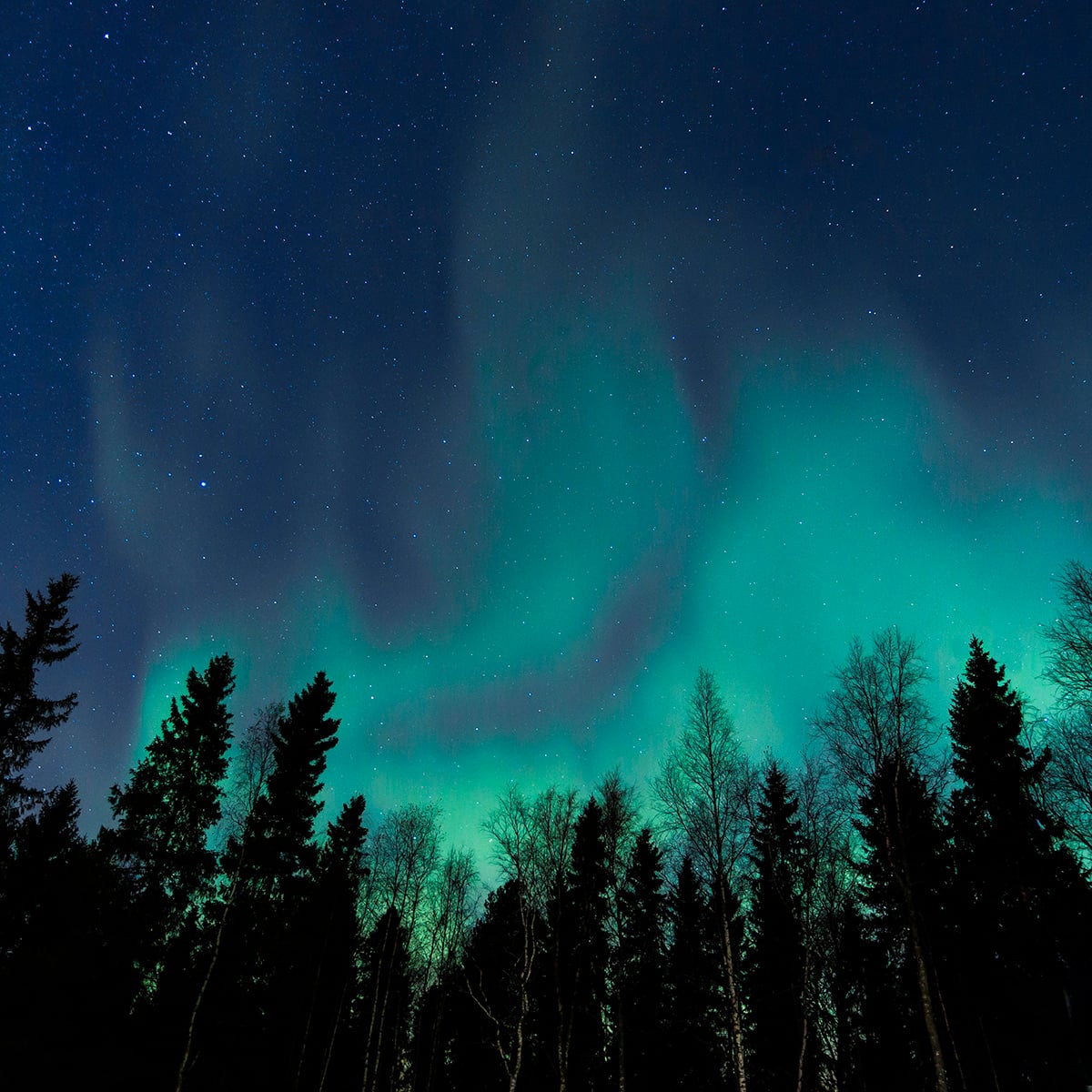 Joulukuu