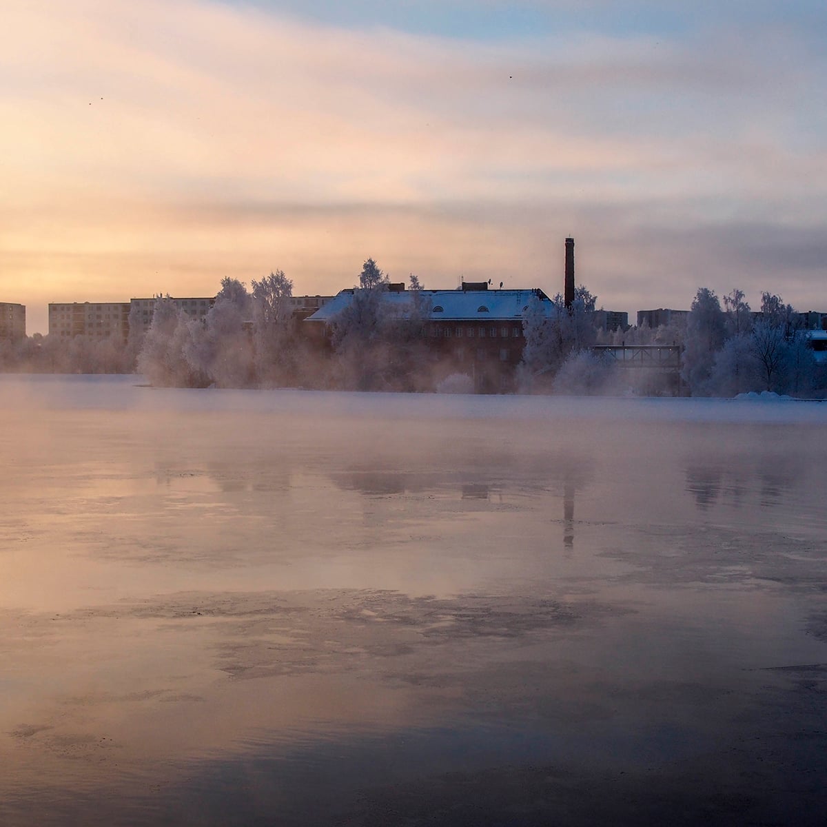 Tammikuu