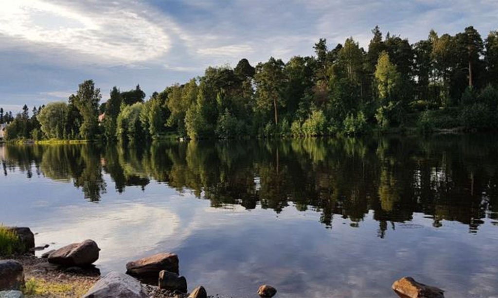 Joenvarsi kesällä.