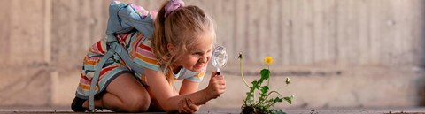 A girl examines a dandelion with a magnifying glass on the ground.