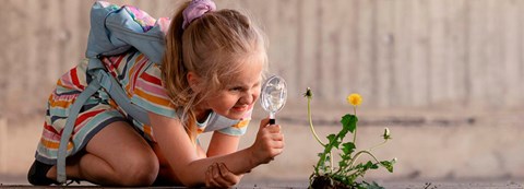 A girl examines a dandelion with a magnifying glass.