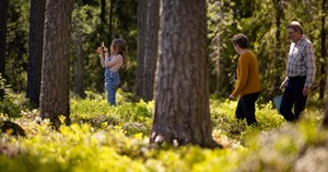 Young girl in the forest with her grandparents.