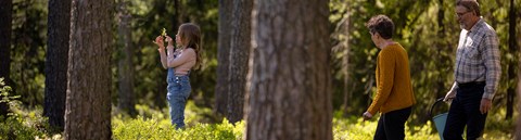 Young girl in the forest with her grandparents. Gradfather is carrying a bucket.