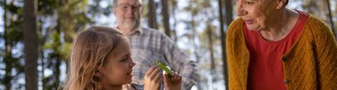 Lapsi ja isovanhemmat katsovat puusta tippunutta lehteä metsässä.