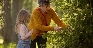 An old woman and a child explore the spruce in a summer forest.