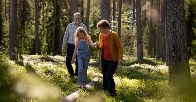 Isovanhemmat ja lapsenlapsi kävelyllä aurinkoisessa metsässä.