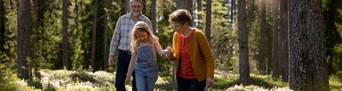 Grandparents and grandchild walking in a sunny forest.