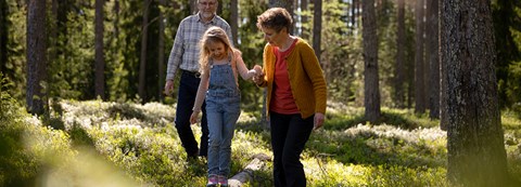 Isoisä, isoäiti ja lapsenlapsi kävelemässä aurinkoisessa metsässä.