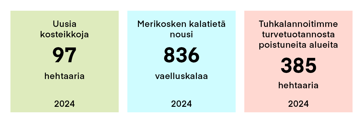 VV_2024_kosteikko_kalatie_tuhkalannoitus_1250 x 425_FI.jpg
