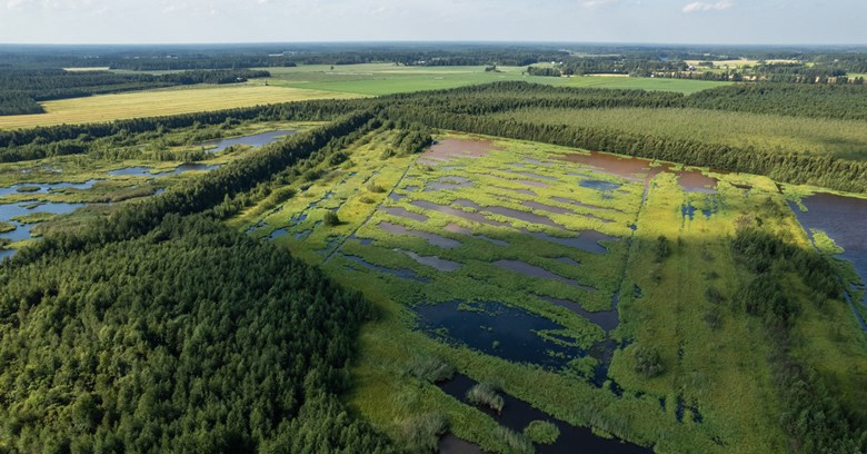 Ilmakuvaa Karjonevan entiseltä turvetuotantoalueelta, jota ennallistetaan kosteikoksi.