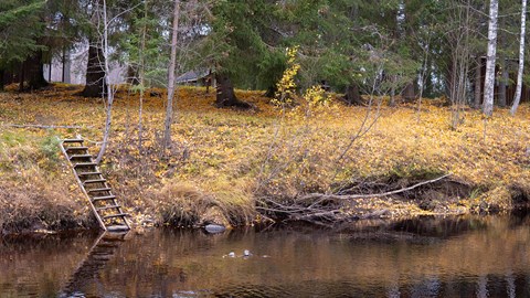 Joenvarsi kuvattuna syksyllä.