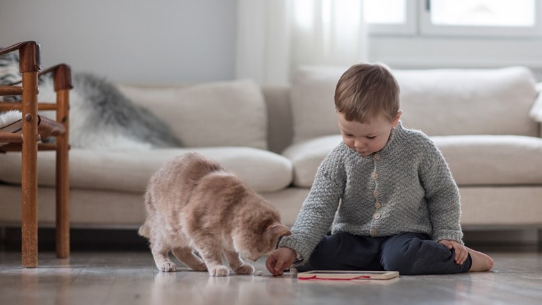 Leikki-ikäinen lapsi istuu lattialla sohvan edustalla ja vieressä nuuhkii kissa