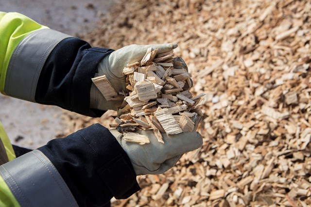 Hands clad in work gloves are scooped full of wood chips.