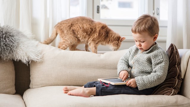 Leikki-ikäinen lapsi istuu sohvalla ja piirtää liitutauluun. Kissa kävelee sohvan selkänojalla.