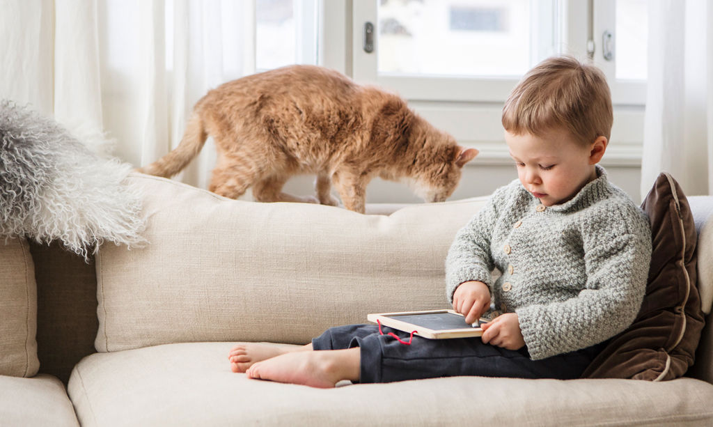 A small child sits on a coach and draws to a charcoal board. Cat walks on a back of a coach.