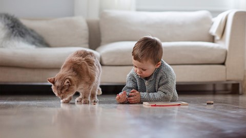 A play-age child lies on his stomach in front of a sofa and a cat sniffs the floor next to him.