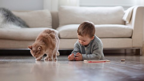 Leikki-ikäinen lapsi makaa mahallaan sohvan edessä ja kissa nuuskii lattiaa vieressä.