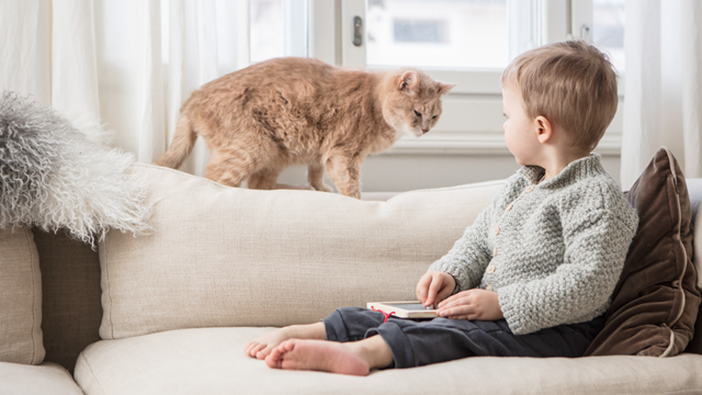 A young child and an orange cat are sitting on a sofa. The child is holding a tablet. Child and cat look at each other.