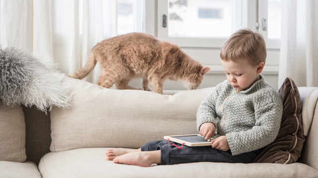 Child watches a tablet on a couch with a cat.
