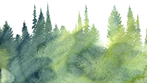 Vesiväreillä maalattu vihreä metsä.