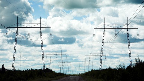 Power lines in the middle of the forest against a cloudy sky.